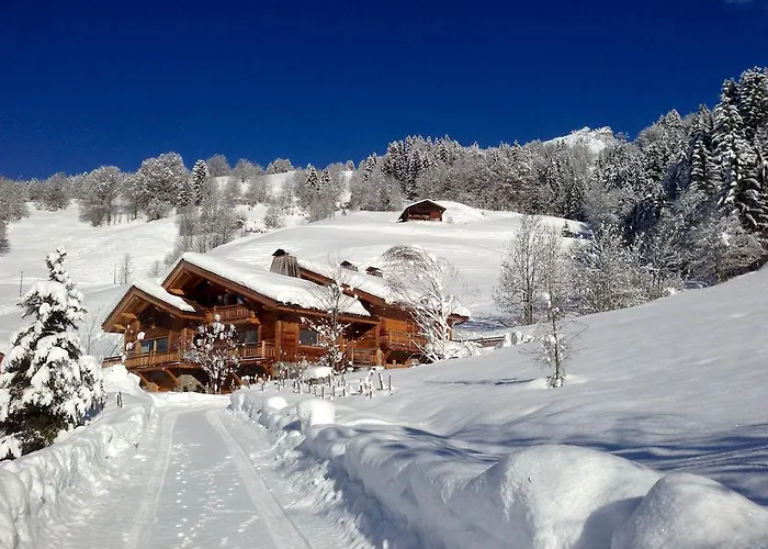 Chalet La Vigogne Et Spa