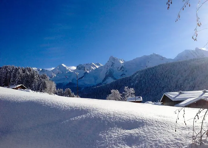 Chalet La Vigogne Et Spa