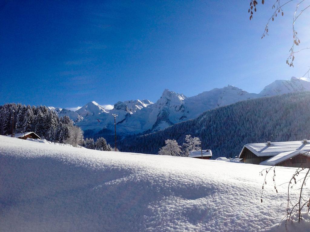 Chalet La Vigogne Et Le Grand-Bornand